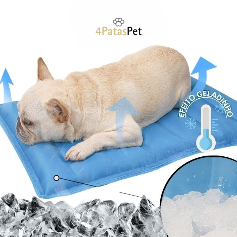 Tapete Refrescante Para Cães e Gatos Pet Fresh™